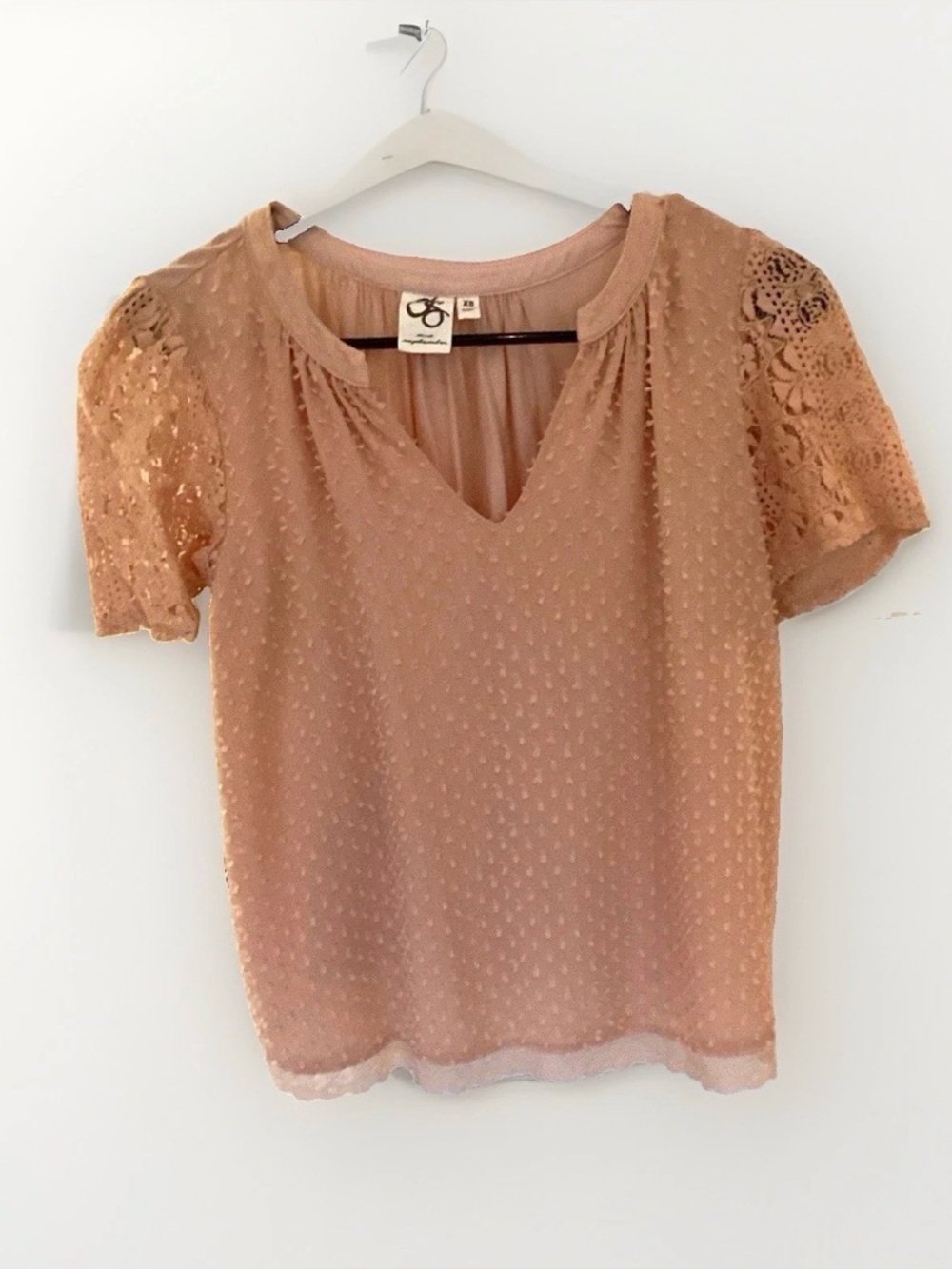 Women's Lace Sleeve V-Neck Blouse - Blush